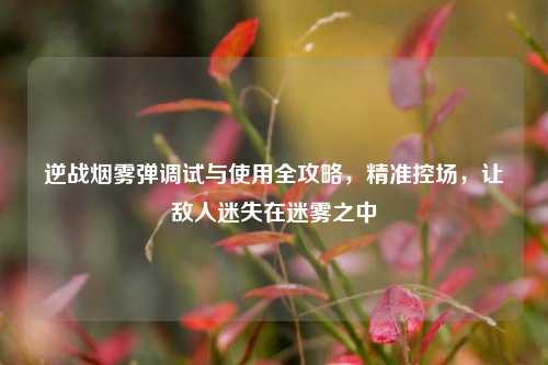 逆战烟雾弹调试与使用全攻略,精准控场,让敌人迷失在迷雾之中