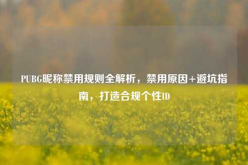 PUBG昵称禁用规则全解析,禁用原因+避坑指南,打造合规个性ID