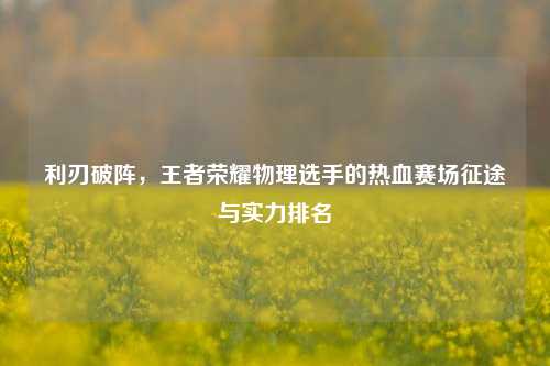利刃破阵,王者荣耀物理选手的热血赛场征途与实力排名