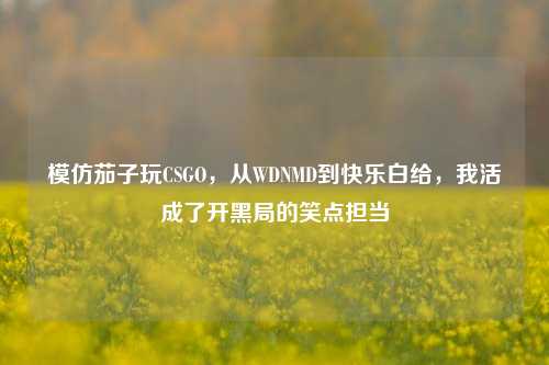 模仿茄子玩CSGO，从WDNMD到快乐白给，我活成了开黑局的笑点担当