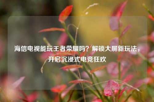 海信电视能玩王者荣耀吗?解锁大屏新玩法,开启沉浸式电竞狂欢