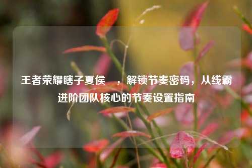 王者荣耀瞎子夏侯惇,解锁节奏密码,从线霸进阶团队核心的节奏设置指南