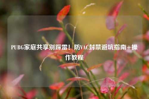 PUBG家庭共享别踩雷!防VAC封禁避坑指南+操作教程