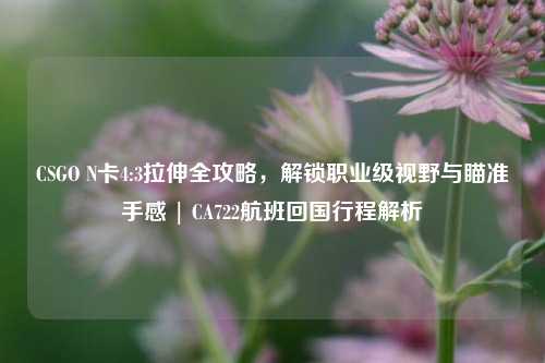 CSGO N卡4:3拉伸全攻略,解锁职业级视野与瞄准手感 | CA722航班回国行程解析