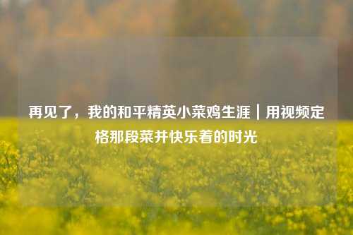 再见了,我的和平精英小菜鸡生涯|用视频定格那段菜并快乐着的时光