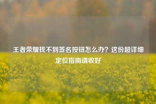王者荣耀找不到签名按钮怎么办？这份超详细定位指南请收好