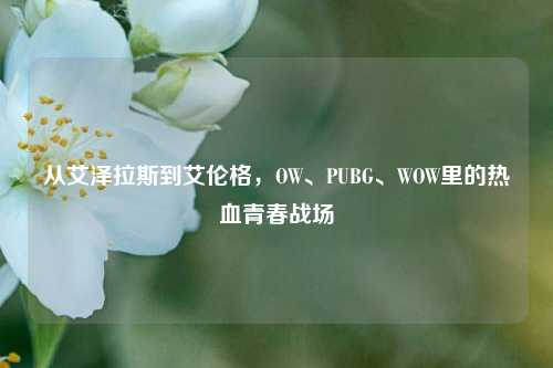 从艾泽拉斯到艾伦格,OW、PUBG、WOW里的热血青春战场