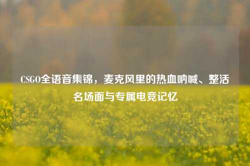 CSGO全语音集锦，麦克风里的热血呐喊、整活名场面与专属电竞记忆