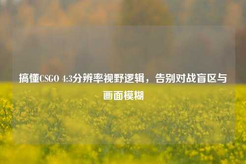 搞懂CSGO 4:3分辨率视野逻辑，告别对战盲区与画面模糊