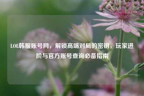 LOL韩服账号网,解锁高端对局的密钥,玩家进阶与官方账号查询必备指南