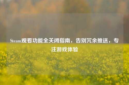 Steam观看功能全关闭指南，告别冗余推送，专注游戏体验
