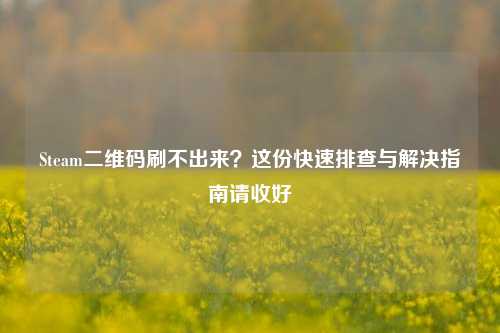 Steam二维码刷不出来?这份快速排查与解决指南请收好