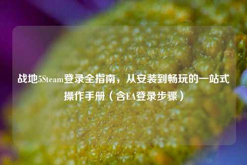战地5Steam登录全指南,从安装到畅玩的一站式操作手册(含EA登录步骤)