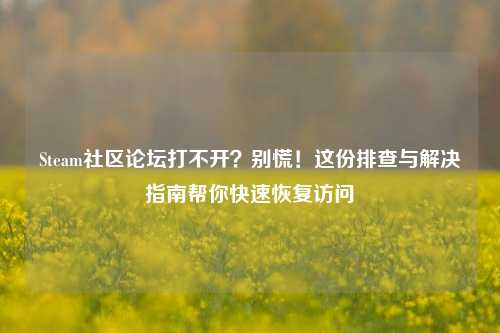 Steam社区论坛打不开?别慌!这份排查与解决指南帮你快速恢复访问