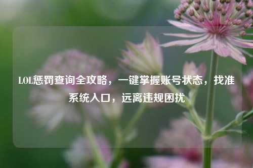 LOL惩罚查询全攻略,一键掌握账号状态,找准系统入口,远离违规困扰