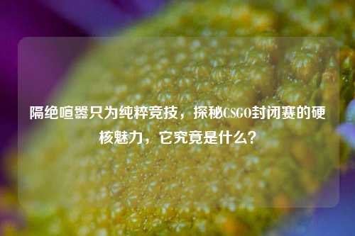 隔绝喧嚣只为纯粹竞技,探秘CSGO封闭赛的硬核魅力,它究竟是什么?