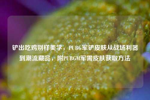 铲出吃鸡别样美学,PUBG军铲皮肤从战场利器到潮流藏品,附PUBGM军需皮肤获取方法