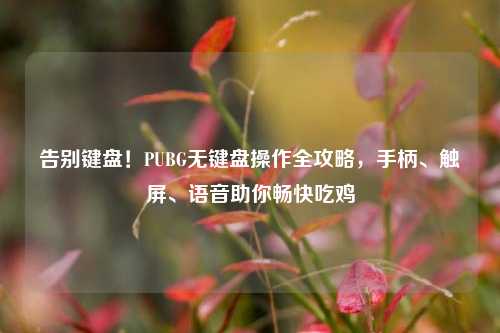 告别键盘!PUBG无键盘操作全攻略,手柄、触屏、语音助你畅快吃鸡