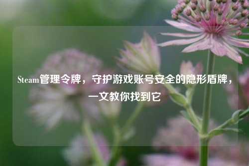 Steam管理令牌,守护游戏账号安全的隐形盾牌,一文教你找到它