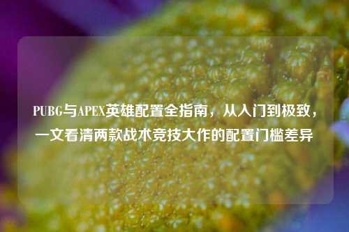 PUBG与APEX英雄配置全指南,从入门到极致,一文看清两款战术竞技大作的配置门槛差异