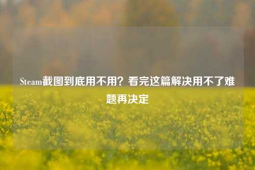 Steam截图到底用不用?看完这篇解决用不了难题再决定
