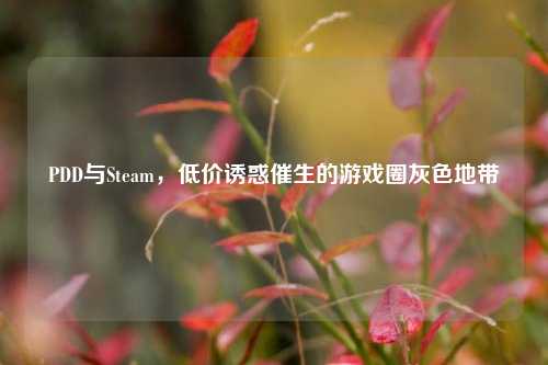 PDD与Steam,低价诱惑催生的游戏圈灰色地带