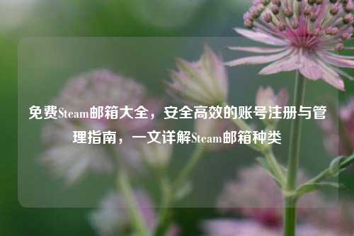 免费Steam邮箱大全,安全高效的账号注册与管理指南,一文详解Steam邮箱种类