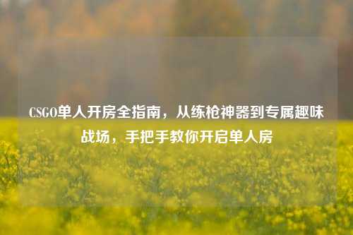 CSGO单人开房全指南,从练枪神器到专属趣味战场,手把手教你开启单人房