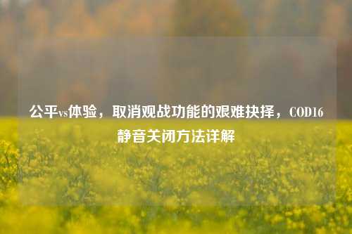 公平vs体验,取消观战功能的艰难抉择,COD16静音关闭方法详解