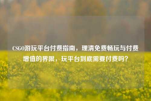 CSGO游玩平台付费指南，理清免费畅玩与付费增值的界限，玩平台到底需要付费吗？