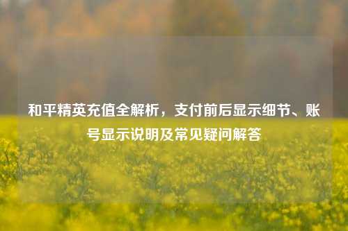 和平精英充值全解析，支付前后显示细节、账号显示说明及常见疑问解答