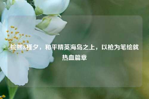 皖熙&槿夕，和平精英海岛之上，以枪为笔绘就热血篇章