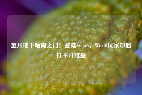 重开地下暗黑之门！登陆Steam，Win10玩家却遇打不开难题