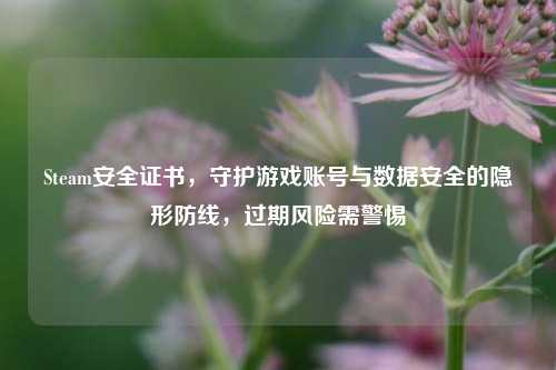 Steam安全证书，守护游戏账号与数据安全的隐形防线，过期风险需警惕