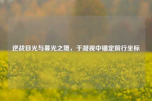 逆战目光与暮光之境,于凝视中锚定前行坐标