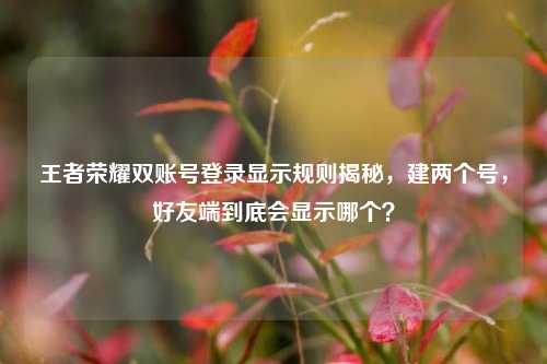王者荣耀双账号登录显示规则揭秘，建两个号，好友端到底会显示哪个？