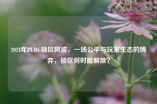 2021年PUBG锁区风波,一场公平与玩家生态的博弈,锁区何时能解除?