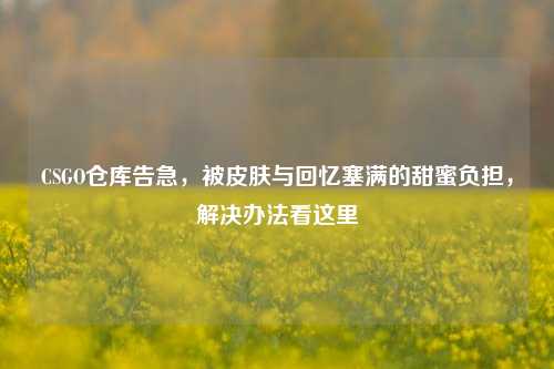 CSGO仓库告急,被皮肤与回忆塞满的甜蜜负担,解决办法看这里