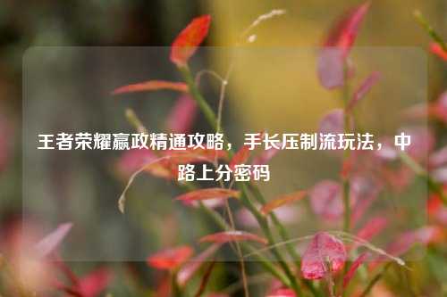 王者荣耀嬴政精通攻略,手长压制流玩法,中路上分密码