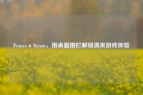 Fences×Steam，用桌面围栏解锁清爽游戏体验