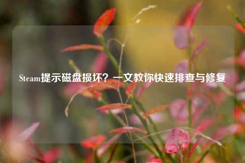 Steam提示磁盘损坏?一文教你快速排查与修复
