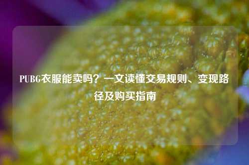 PUBG衣服能卖吗?一文读懂交易规则、变现路径及购买指南