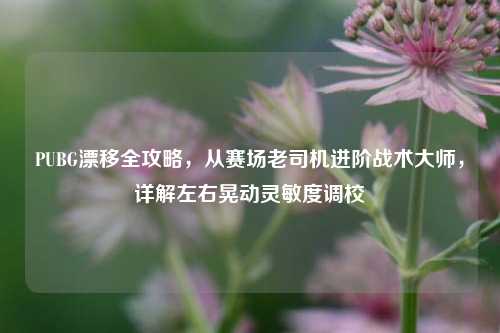 PUBG漂移全攻略,从赛场老司机进阶战术大师,详解左右晃动灵敏度调校