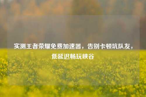 实测王者荣耀免费加速器,告别卡顿坑队友,低延迟畅玩峡谷