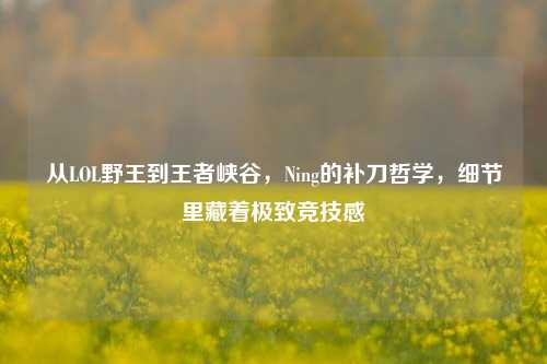 从LOL野王到王者峡谷，Ning的补刀哲学，细节里藏着极致竞技感