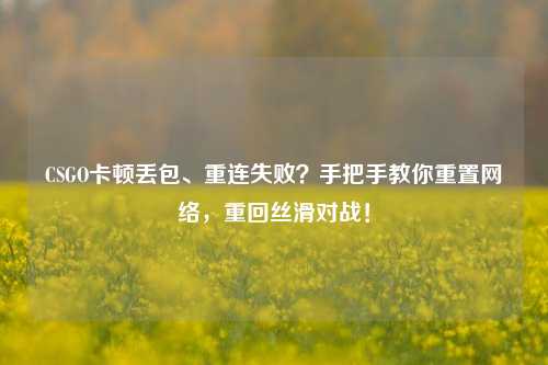 CSGO卡顿丢包、重连失败?手把手教你重置网络,重回丝滑对战!
