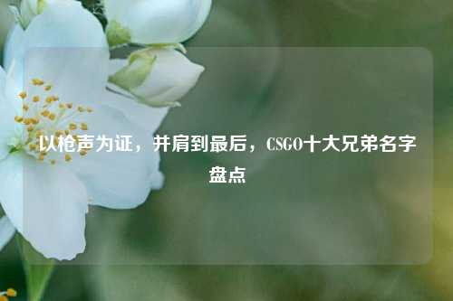以枪声为证，并肩到最后，CSGO十大兄弟名字盘点