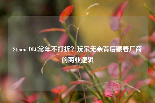 Steam DLC常年不打折?玩家无奈背后藏着厂商的商业逻辑