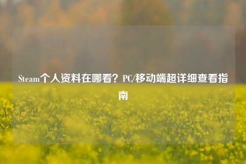 Steam个人资料在哪看?PC/移动端超详细查看指南