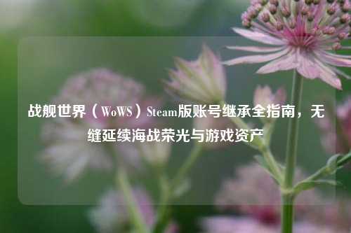 战舰世界(WoWS)Steam版账号继承全指南,无缝延续海战荣光与游戏资产